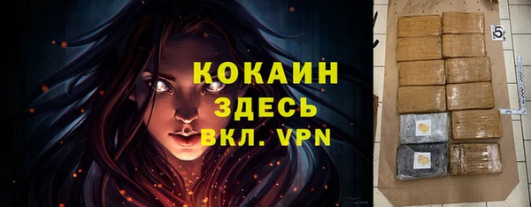 мескалин Богородицк