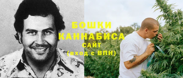 амф Богданович