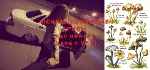 амф Богданович