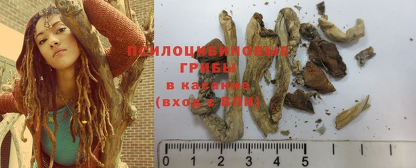 мескалин Богородицк