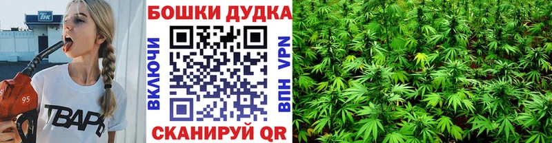 Каннабис Amnesia  Купить закладки  Шарыпово 